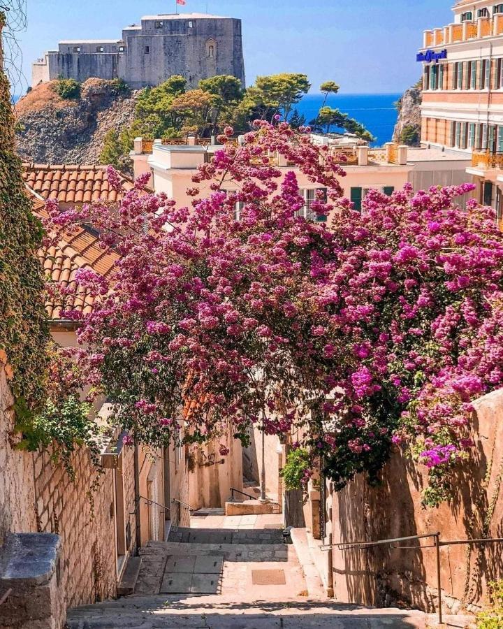 House Nina Lejlighed Dubrovnik Eksteriør billede