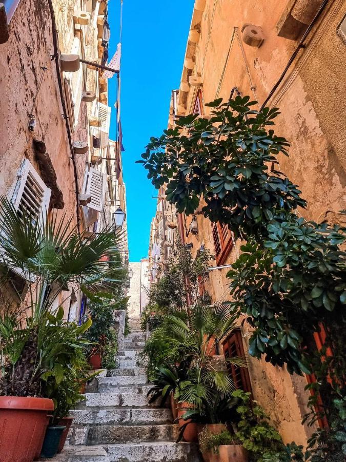 House Nina Lejlighed Dubrovnik Eksteriør billede
